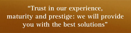 Trust in our experience. We provide the best solutions!